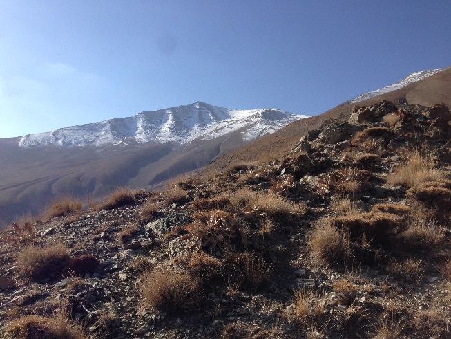 قله توچال در برف روی یال ایگل دیده می شود،